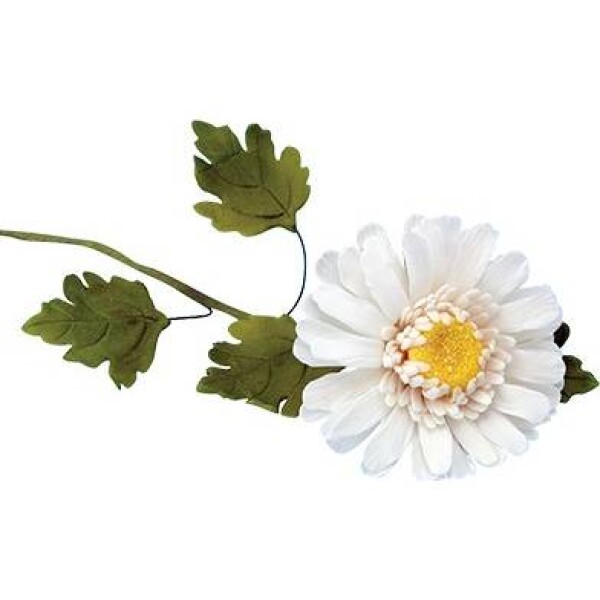 Sada vykrajovačov 7 ks - Chrysanthemum - PME - JEM - JEM