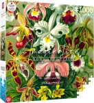 Good Loot Puzzle Imagination: Ernst Haeckel - Orchidea
