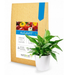 Symbiom mykorhízne huby Algavit 100 g