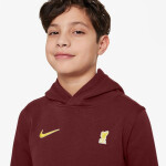 Nike Liverpool FC NSW Club PO Hoodie Jr FZ4149-619 XS (122-128)