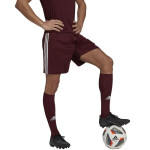 Pánske krátke nohavice Squadra 21 M GN8083 - Adidas XXL