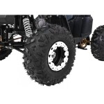 Mamido Detská benzínová štvorkolka RamiGO WILDPEAK 110CC čierna