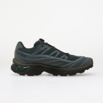 Tenisky Salomon XT-EVO Stormw/ Dark S/ Grape Leaf EUR 43 1/3