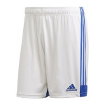 Pánske šortky Tastigo 19 FI6355 Adidas