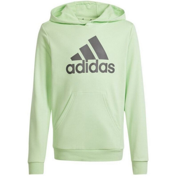 Mikina adidas Big Logo Hoodie Jr IS2591 cm