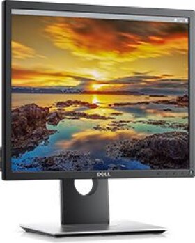 Dell P1917S (210-AJBG)