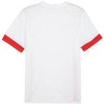 Puma teamGoal Matchday Jersey M 705747 11 muži 2 XL