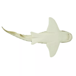 Safari Ltd. Safari Ltd. Rôznozubec pruhovaný