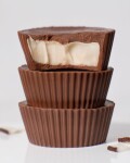 Vilgain Nut Butter Cups BIO – kokos 39 g (3 x 13 g)