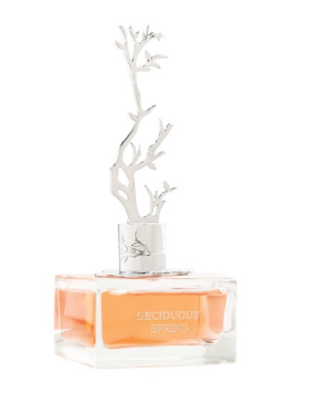 Aurora Scents Deciduous Spring - EDP 100 ml + EDP 9 ml