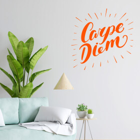 Veselá Stena Samolepka Carpe Diem (Užívaj dňa) Farba: oranžová, Veľkosť: 100 x 100 cm