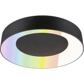 Paulmann 75416 stropné svetlo 20 W čierna (matná); 75416