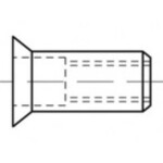 TOOLCRAFT TO-5455329 slepá nitovacie matice M6 500 ks; TO-5455329