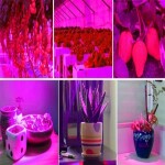 Jago LED Lampička pre pestovanie rastlín s klipom 200 LED 9.5 W ML16348