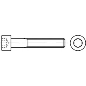 TOOLCRAFT TO-5441931 skrutky s valcovou hlavou 25 mm 13 mm vnútorný šesťhran 83912 ocel A5 100 ks; TO-5441931