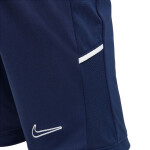 Šortky Nike Dri Fit Academy 25 Jr FZ9784 410 M