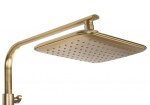 REA - Sprchová sada s termostatom TOM brush gold REA-P5004