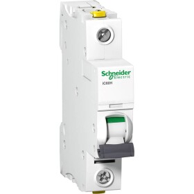 Schneider Electric A9F07106 A9F07106 elektrický istič 6 A 230 V; A9F07106