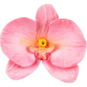 Forma na orchideu 92x60mm - Silikomart - Silikomart