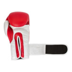 Kožené boxerské rukavice MASTERS RBT-TRW 01210-02 modrá