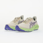 Tenisky Asics Gt-2000 13 Tr Nature Bathing/ Lime Green EUR 41.5