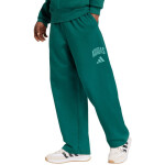 Nohavice adidas Collegiate M JM9178 L