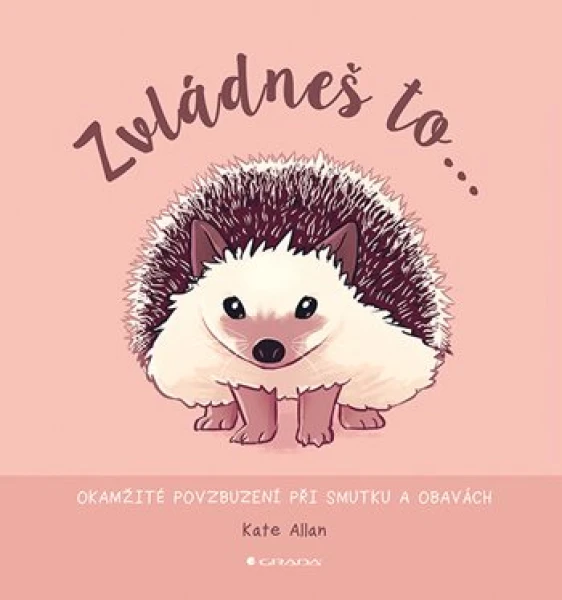 Zvládneš to..., Allan Kate