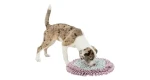 TRIXIE 32039 JUNIOR Dog Activity čuchací koberec 38 cm (4011905320397)