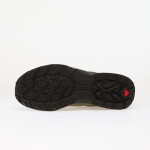 Tenisky Salomon XT-QUEST GTX Aloe/ Grape Leaf/ Black EUR 44 2/3
