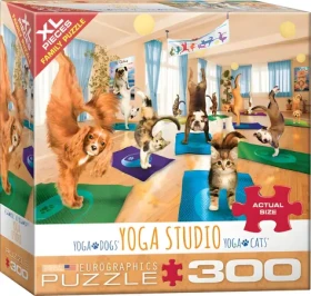 EUROGRAPHICS Puzzle Jóga štúdio XL