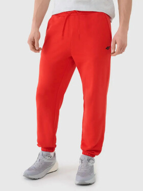 Pánske tepláky 4F S
