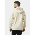 Helly Hansen Core Graphic Sweat Hoodie 53924 034