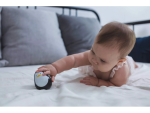 PlanToys PlanToys Tučniak
