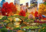 BlueBird Puzzle Central park NYC