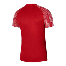 Pánske tréningové tričko Dri-Fit Academy SS M DH8031-657 - Nike XXL (193 cm)
