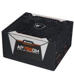 Gigabyte Aorus P750W