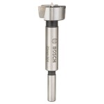 Bosch Accessories 2609255287 Forstnerov vrták 25 mm Celková dĺžka 90 mm valcová stopka 1 ks; 2609255287