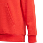 Detská mikina Essentials Big Logo Hoodie Jr GN4037 - Adidas 122cm