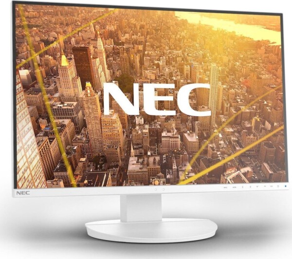 NEC MultiSync EA241F (60004787)