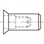 TOOLCRAFT TO-5444313 slepá nitovacie matice M8 ocel 250 ks; TO-5444313