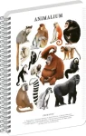 NOTIQUE Animalium - Primáty / Špirálový blok / A5 / štvorčekový