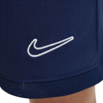 Šortky Nike Dri Fit Academy 25 Jr FZ9784 410 M