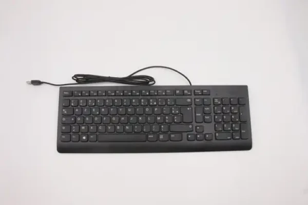 Lenovo Keyboard USB KB BK čierna / Drôtová klávesnica / USB / FR (00XH598)