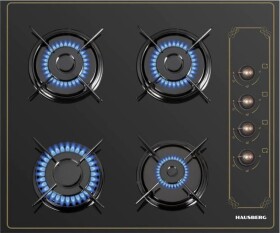 Hausberg HAUSBERG HB-575RST Dujinė kaitlentė
