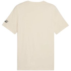Puma Sport Graphic Tee M 684617 87 pánske tričko S