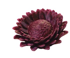 Filament-PM PET-G tlačová struna tmavo purpurová 1,75 mm 1 kg Filament PM