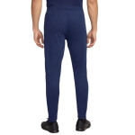Nohavice Nike Dri-Fit Academy 25 M FZ9805 410 S