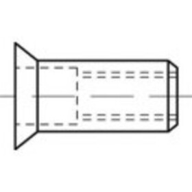 TOOLCRAFT TO-5455194 slepá nitovacie matice M8 100 ks; TO-5455194