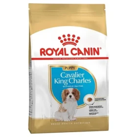 Royal Canin Puppy Cavalier King Charles