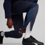 Puma Team Goal Training M nohavice 658639 06 L